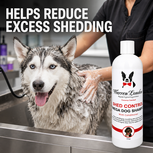 Shed Control Dog Shampoo + Conditioner | Coconut Scent