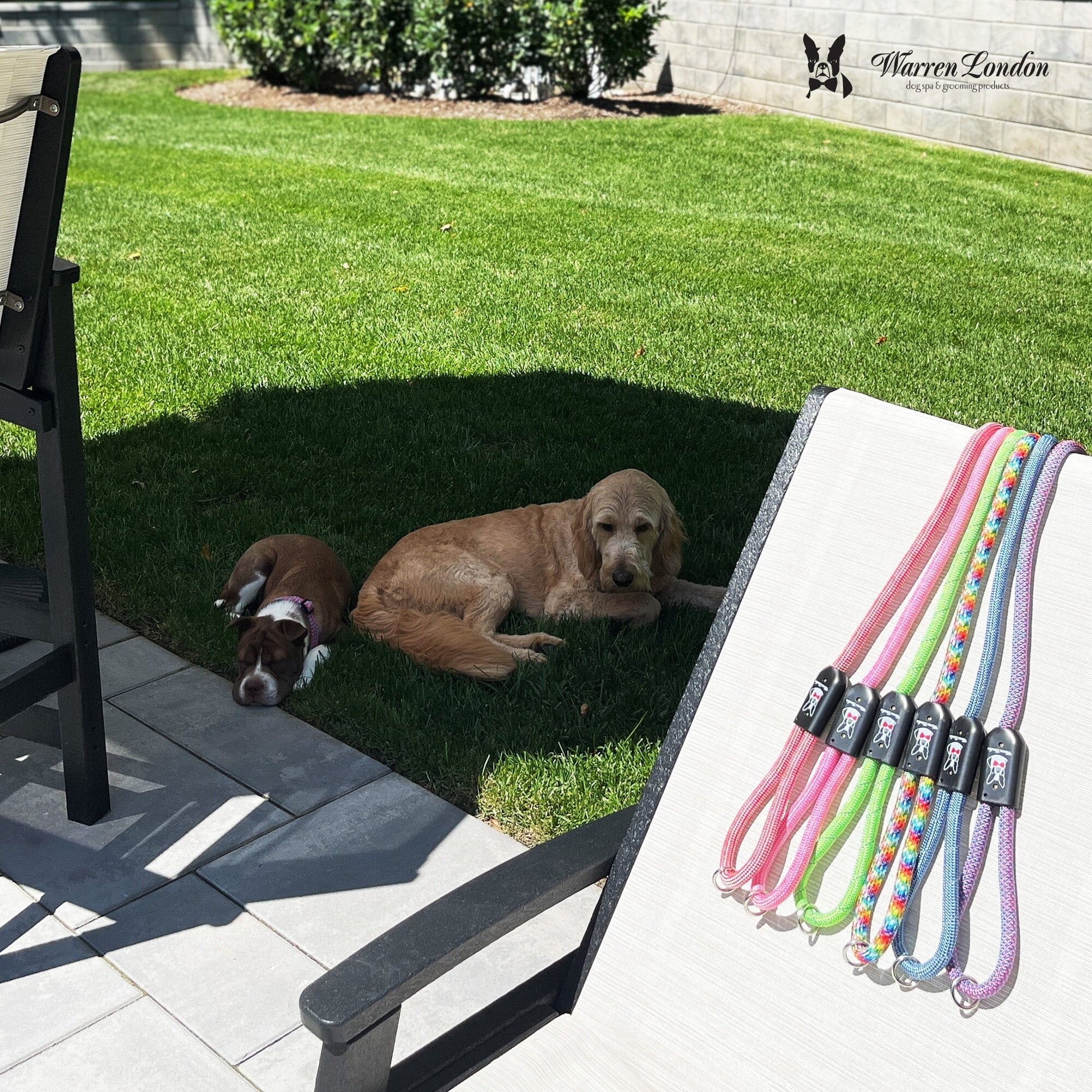 Rope Leash - Green Reflective Leashes, Collars & Accessories Warren London 