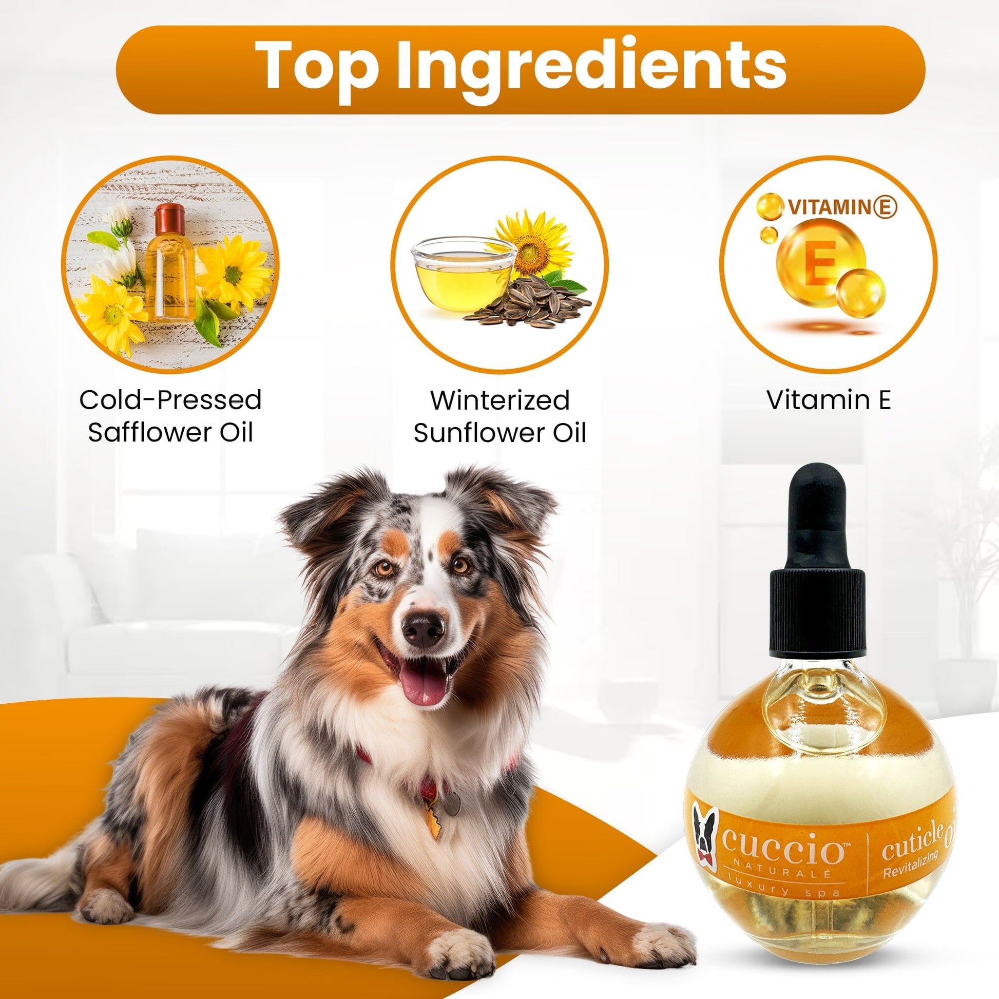 Dog Cuticle & Nail Revitalizing Oil Spa Product Warren London 
