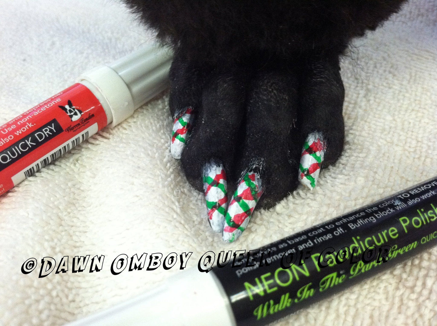 Polish Pen Bundle - Christmas Dog Nail Polish Warren London