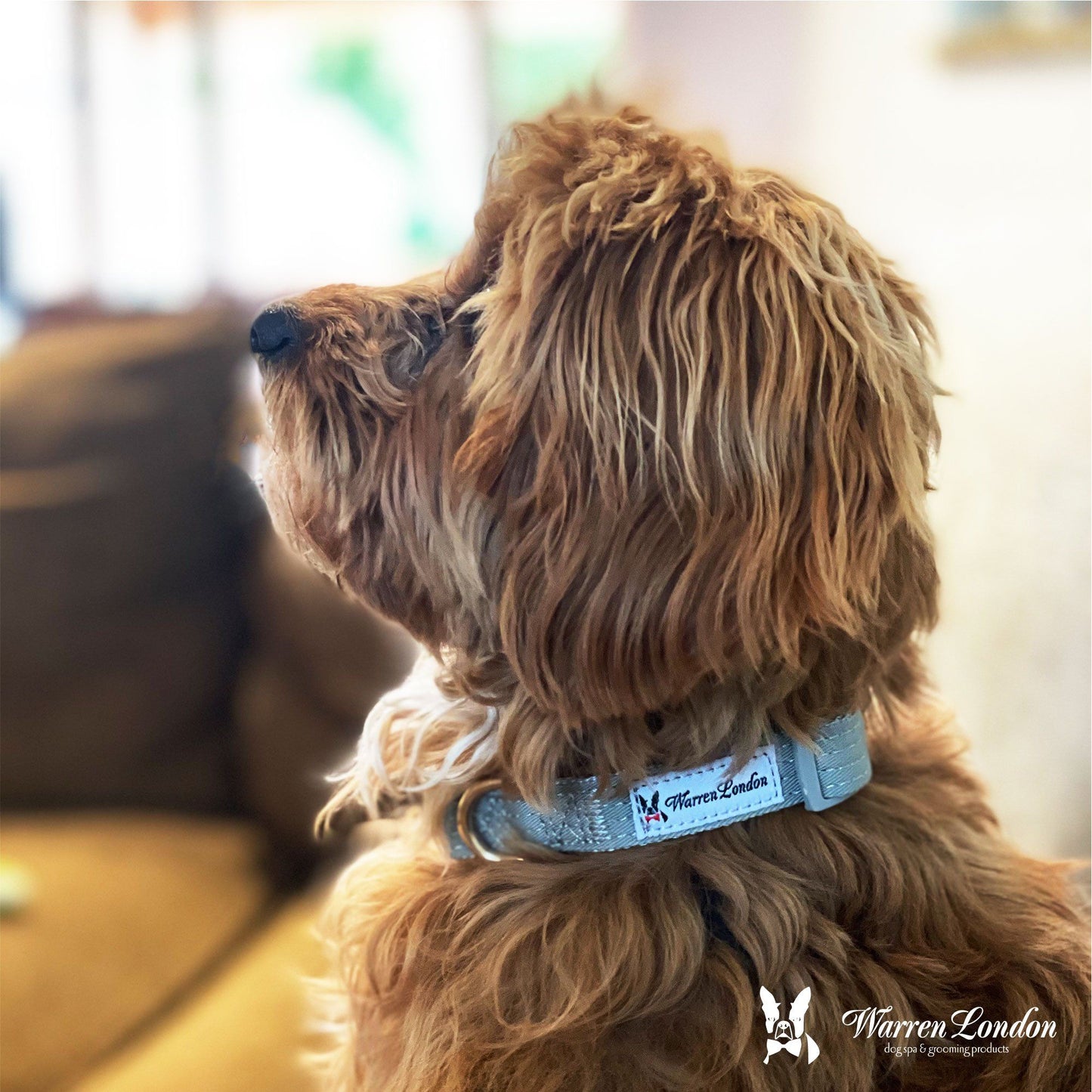 Fabric Dog Collar - Grey Leashes, Collars & Accessories Warren London