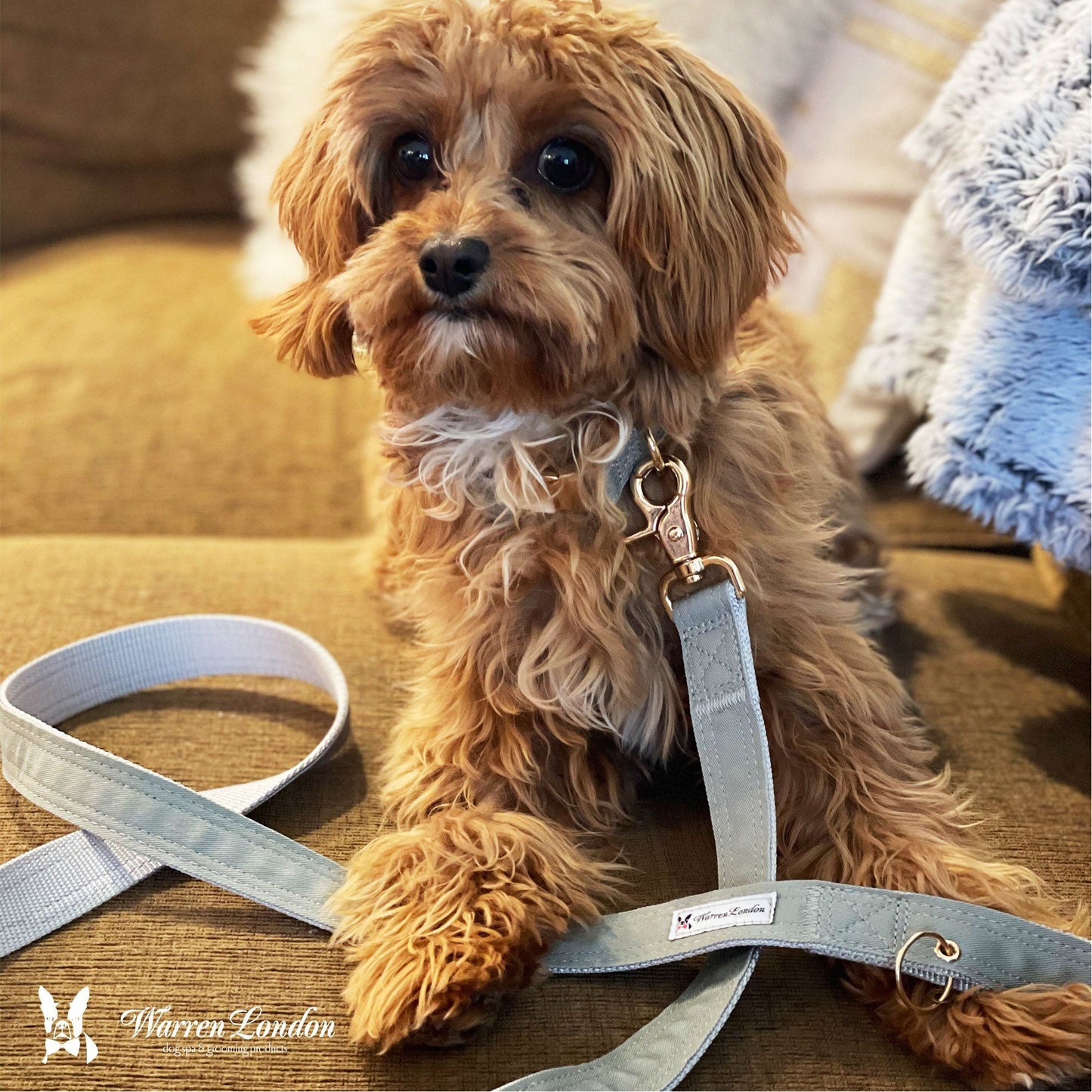 Fabric Dog Leash - Grey Leashes, Collars & Accessories Warren London