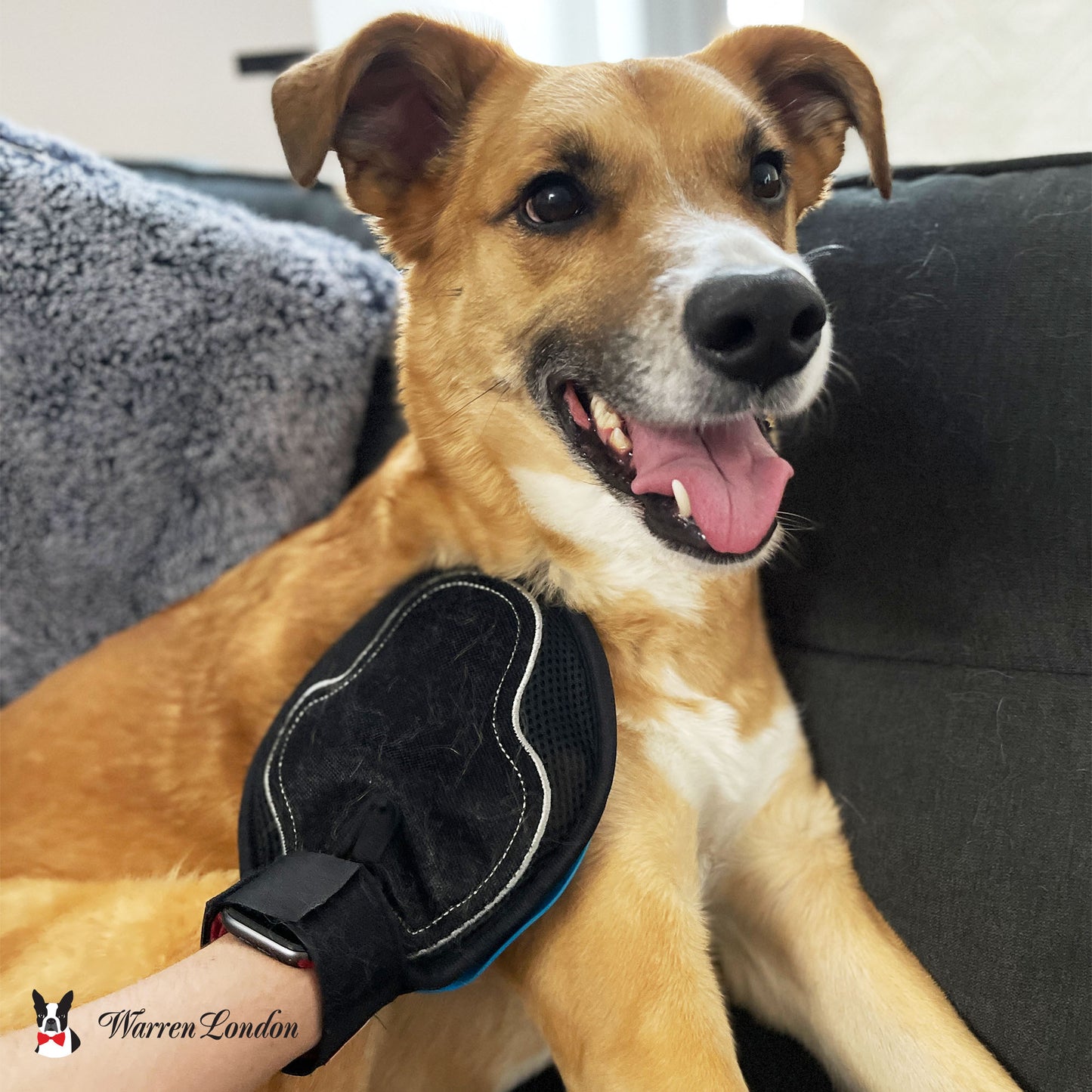 2 in 1 Pet Grooming Glove for Dogs & Cats - Double Sided Pet Grooming Supplies Warren London