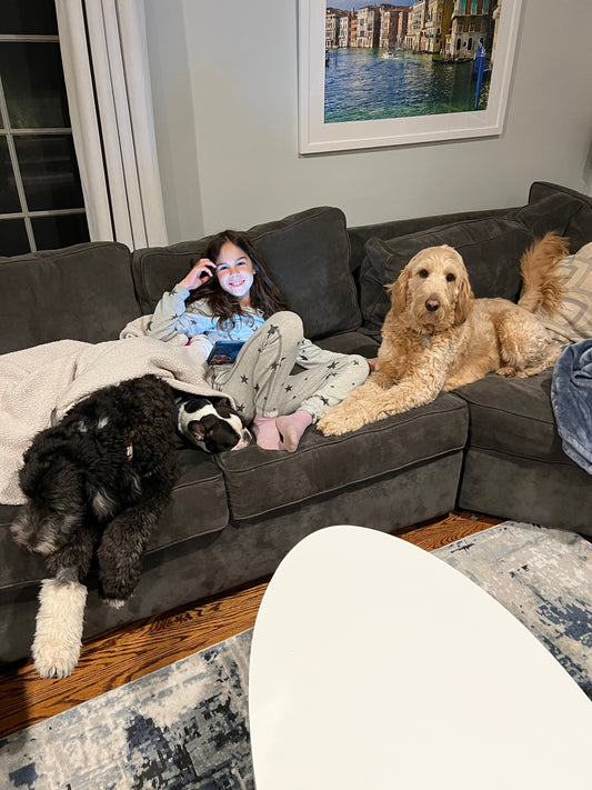 Apartment Patio Ideas for Dogs