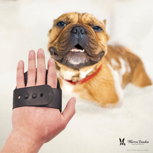 The Ultimate Guide: Best Ways to Brush Your Dog