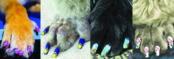 Get Creative! Coat and Nail Colors