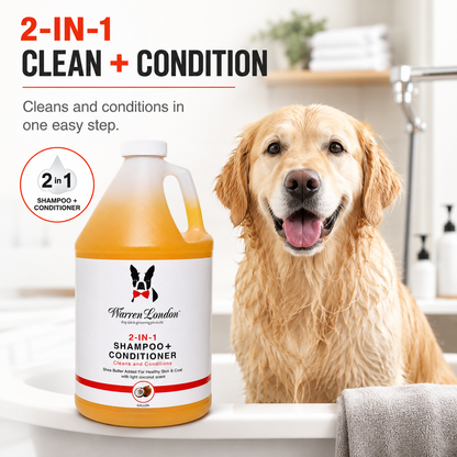 2-in-1 Shampoo + Conditioner - Coconut Scented - Professional Size