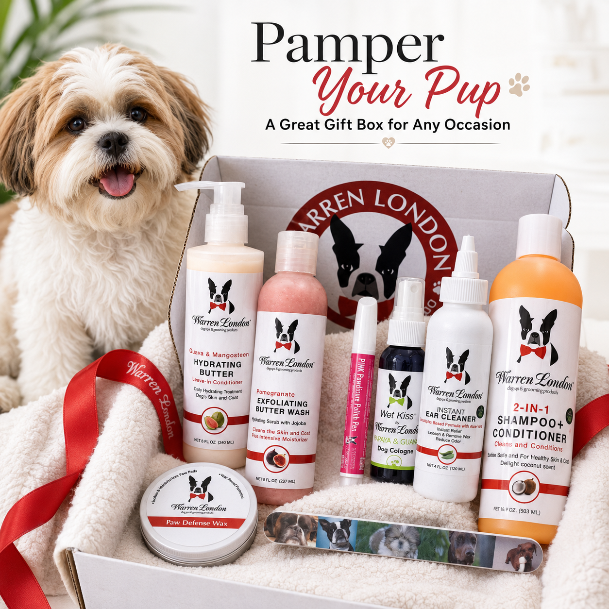 Warren London Dog Gift Box