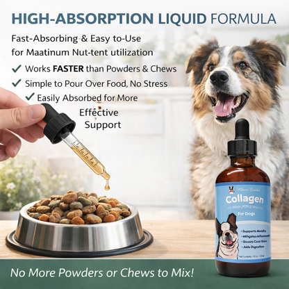 Liquid Collagen for Dogs 4oz.