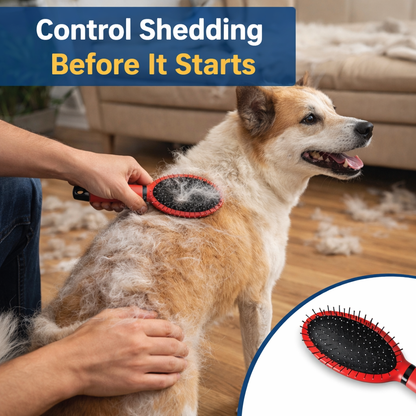 Dual-Action Pin & Bristle Brush