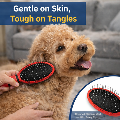 Dual-Action Pin & Bristle Brush