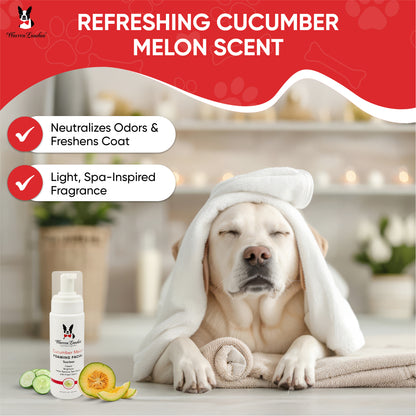 Cucumber Melon Foaming Facial For Dogs