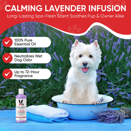 Calming Lavender Dog Shampoo w/Aloe Vera & Essential Oils