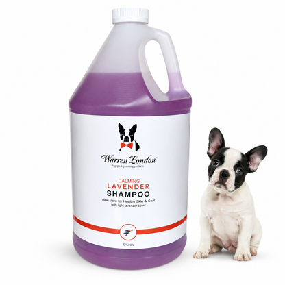 Calming Lavender Dog Shampoo w/Aloe Vera & Essential Oils - Professional Size