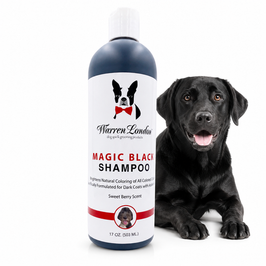 Magic Black Brightening Dog Shampoo