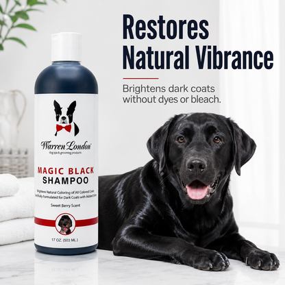 Magic Black Brightening Dog Shampoo