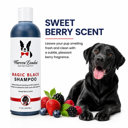 Magic Black Brightening Dog Shampoo