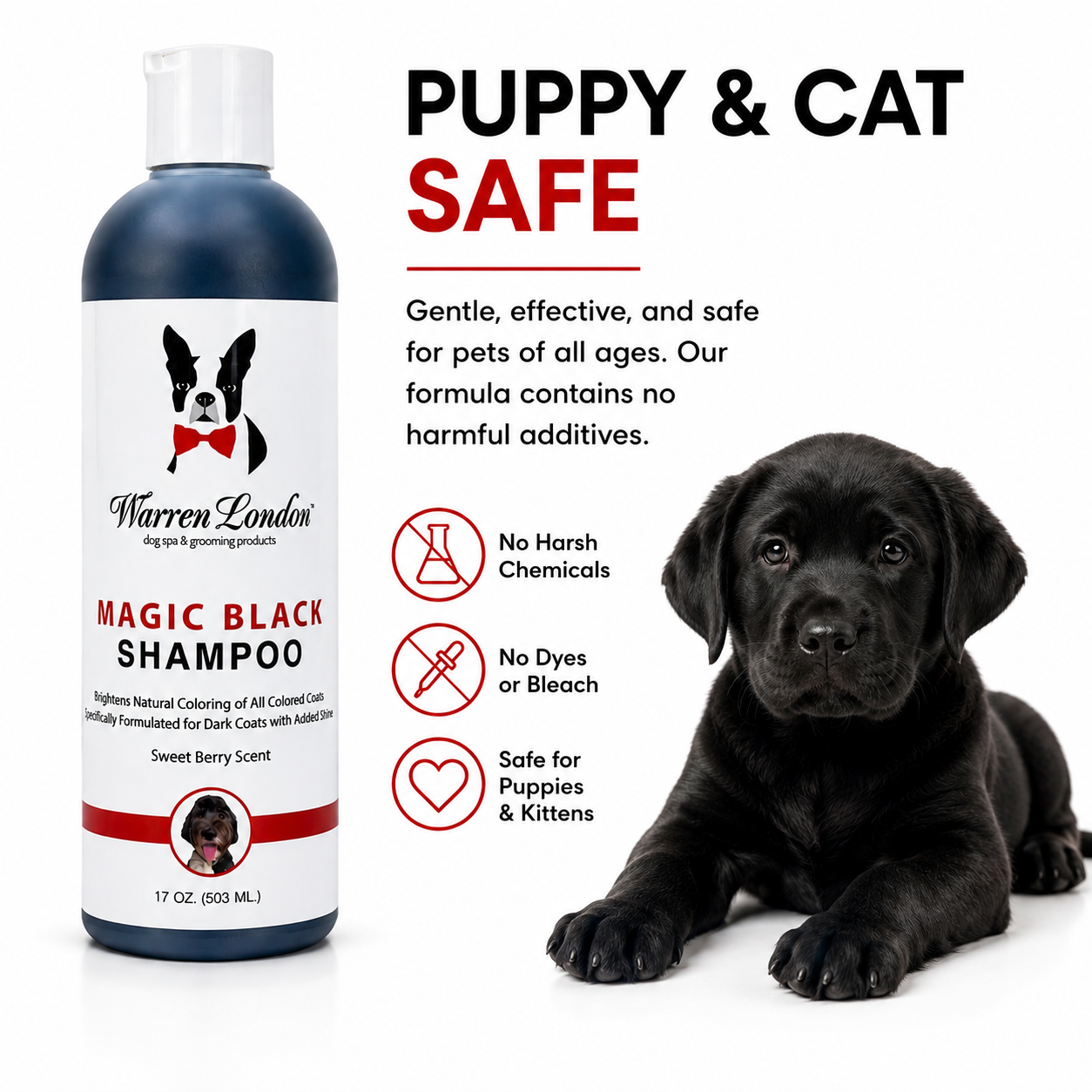 Magic Black Brightening Dog Shampoo