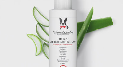 10-In-1 Leave-In Conditioner and Detangling Spray