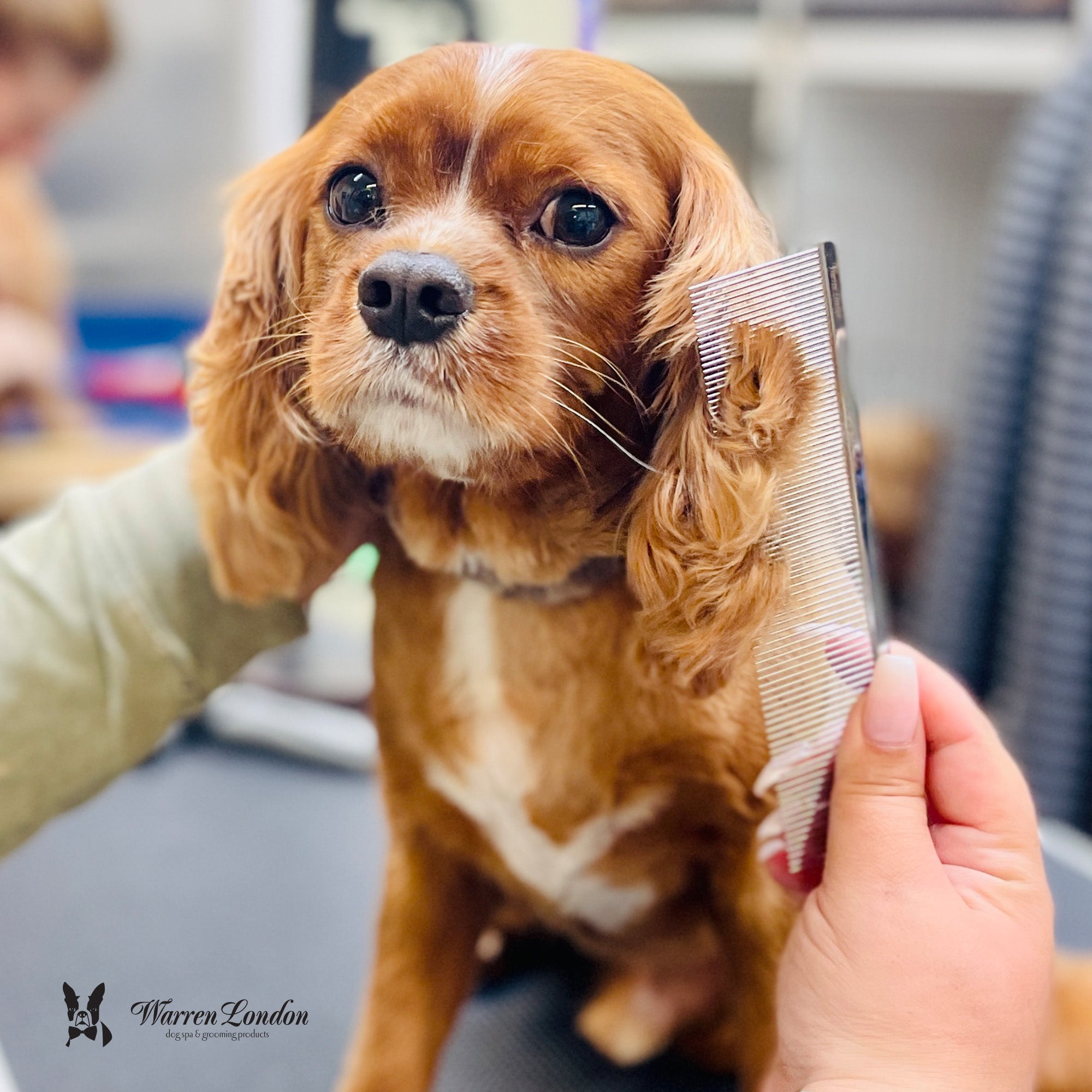 Groomer's Everyday Comb – Warren London