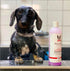 Calming Lavender Dog Shampoo w/Aloe Vera & Essential Oils - Professional Size Grooming Size Product Warren London 