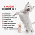Neem Oil Oatmeal Shampoo - Soothes & Relieves Itching - Insect Repellant Dog Shampoo Warren London 