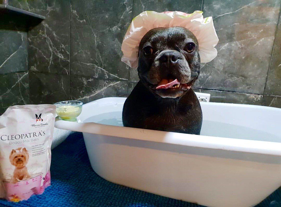 Cleopatra's Doggy Milk Bath Spa Product Warren London 