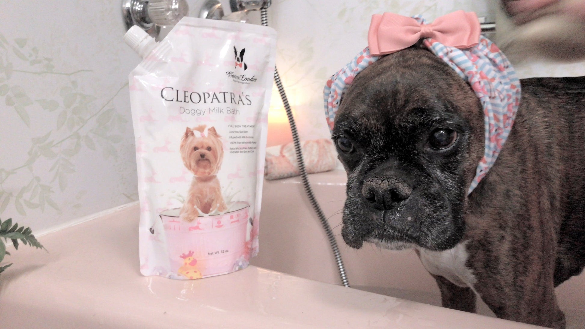Boxer Dog Ceramic Soap Dispenser - Rubadubdub Dogs In A Tub Refillable Pump For Bathroom