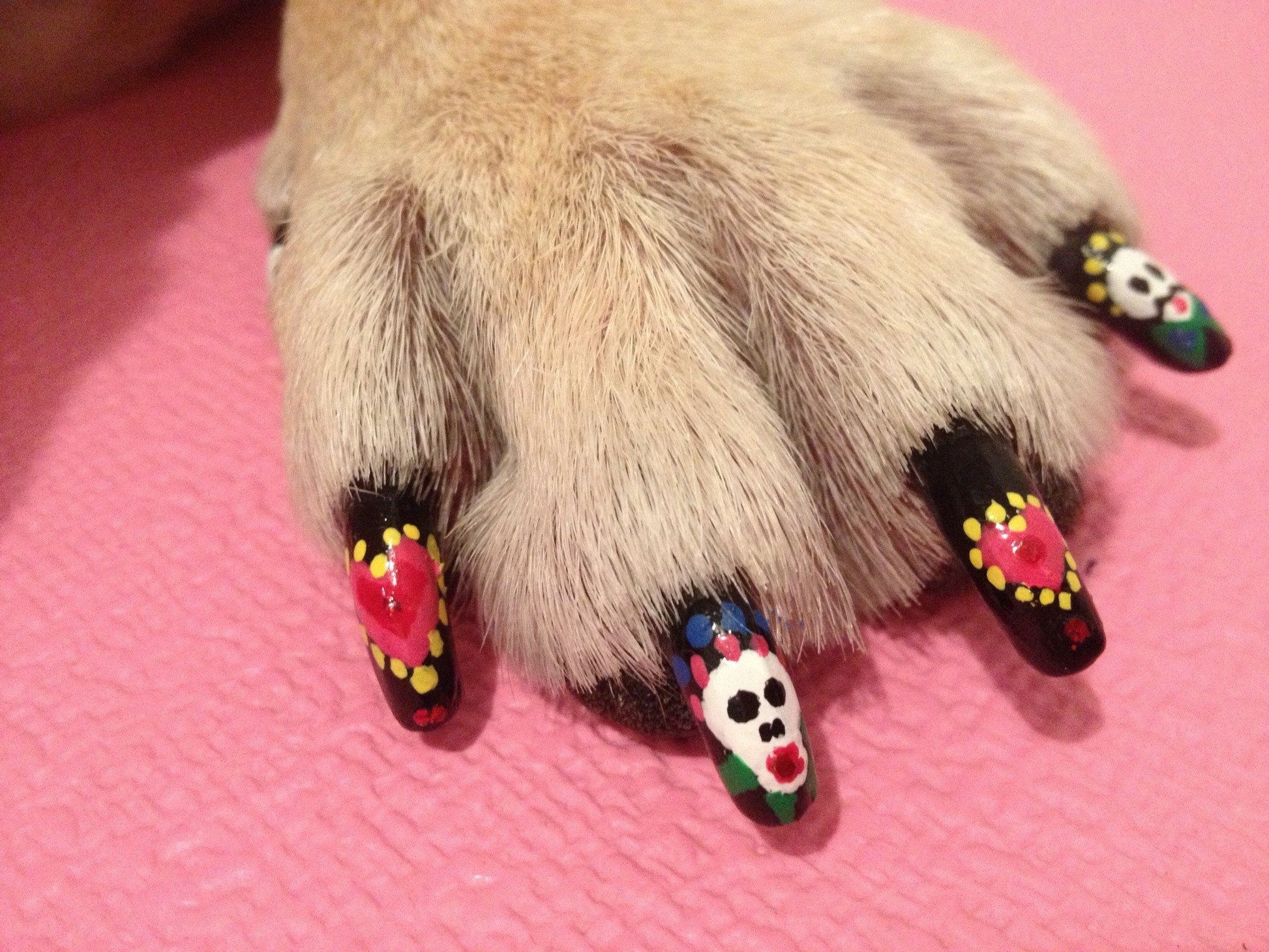 Pet Nail Polish: Glam Up Your Furry Friend's Style