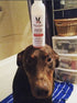 Exfoliating Butter Wash Dog Shampoo - With Natural Jojoba Beads Spa Product Warren London 